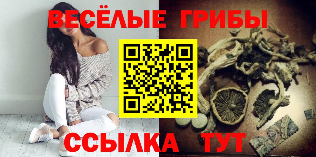 Галлюциногенные грибы Psilocybe Донецк