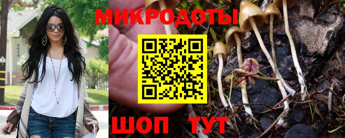Донецк  купить наркотик  Псилоцибиновые грибы ЛСД  Вход с VPN  Галлюциногенные грибы мухоморы 